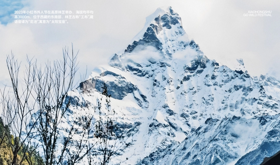 小红书外人节设计方案_第10页