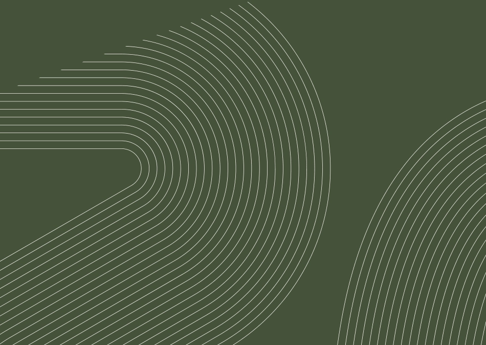 锌美发znips_identity_第2页