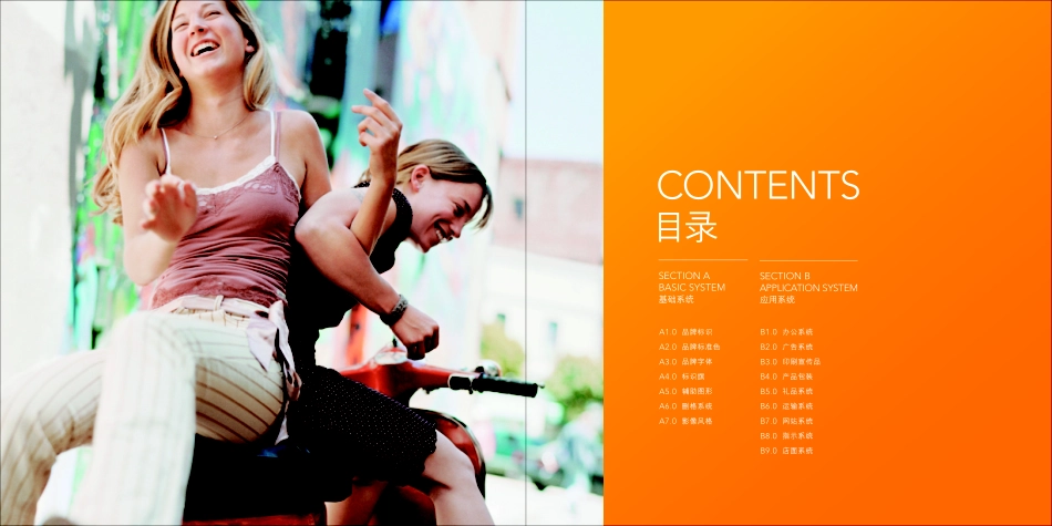 雅迪电动车VIS手册_version+4.0_A+基础系统_第2页