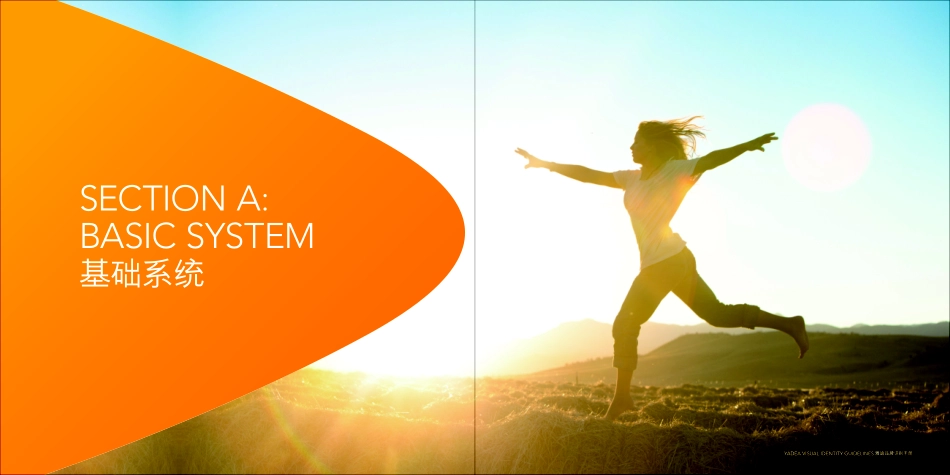 雅迪电动车VIS手册_version+4.0_A+基础系统_第5页