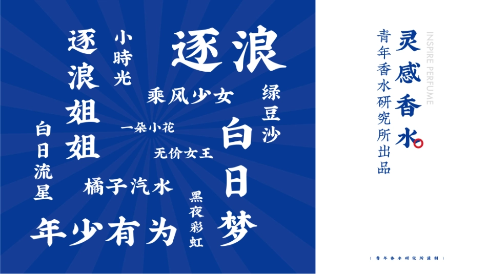 野兽青年品牌手册_第6页