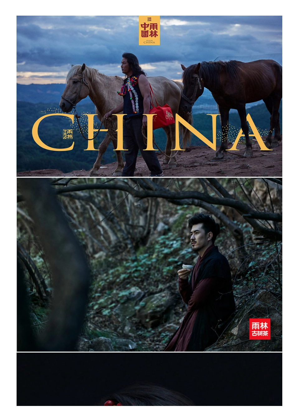 雨林古树茶_第10页