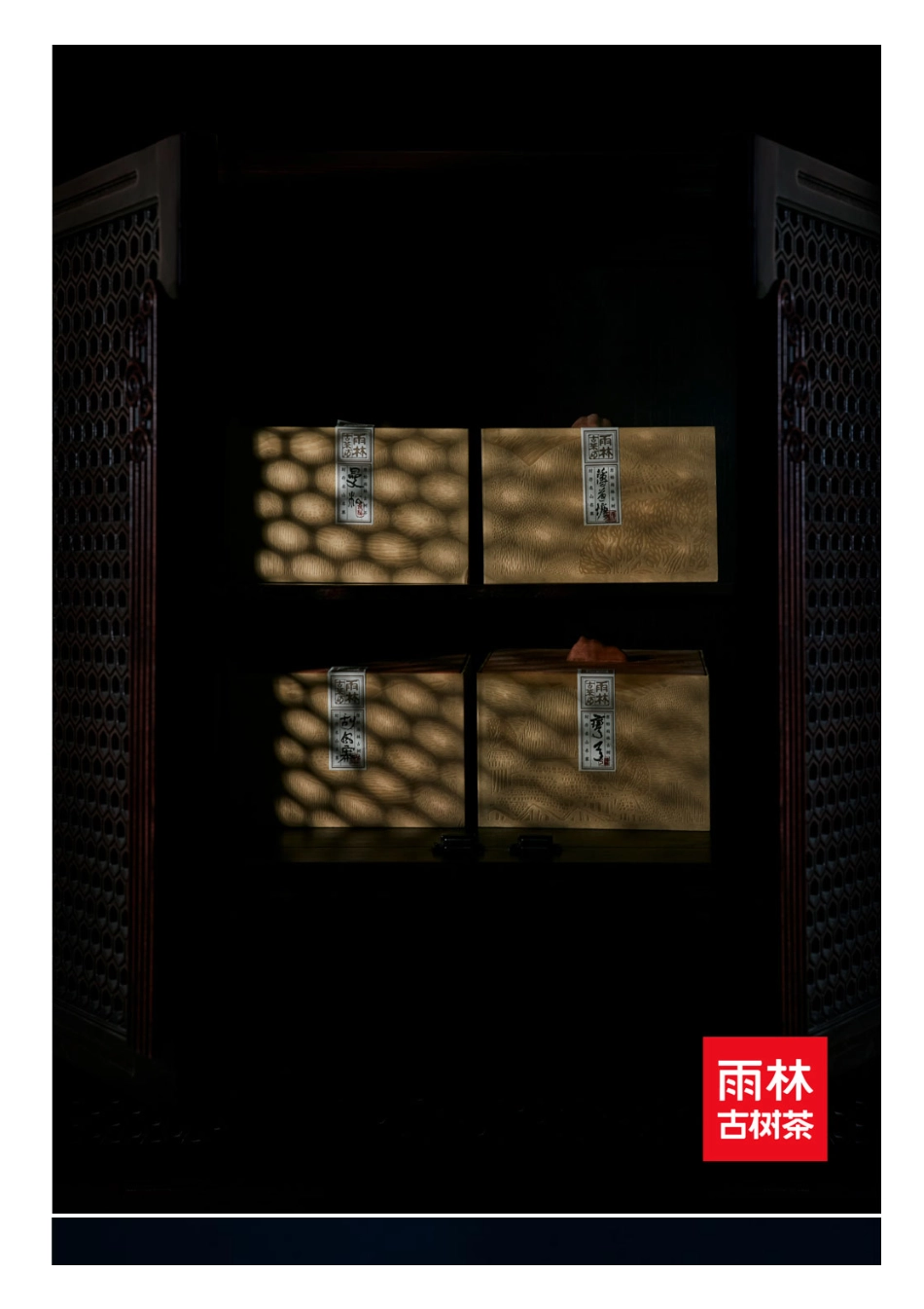 雨林古树茶_第5页