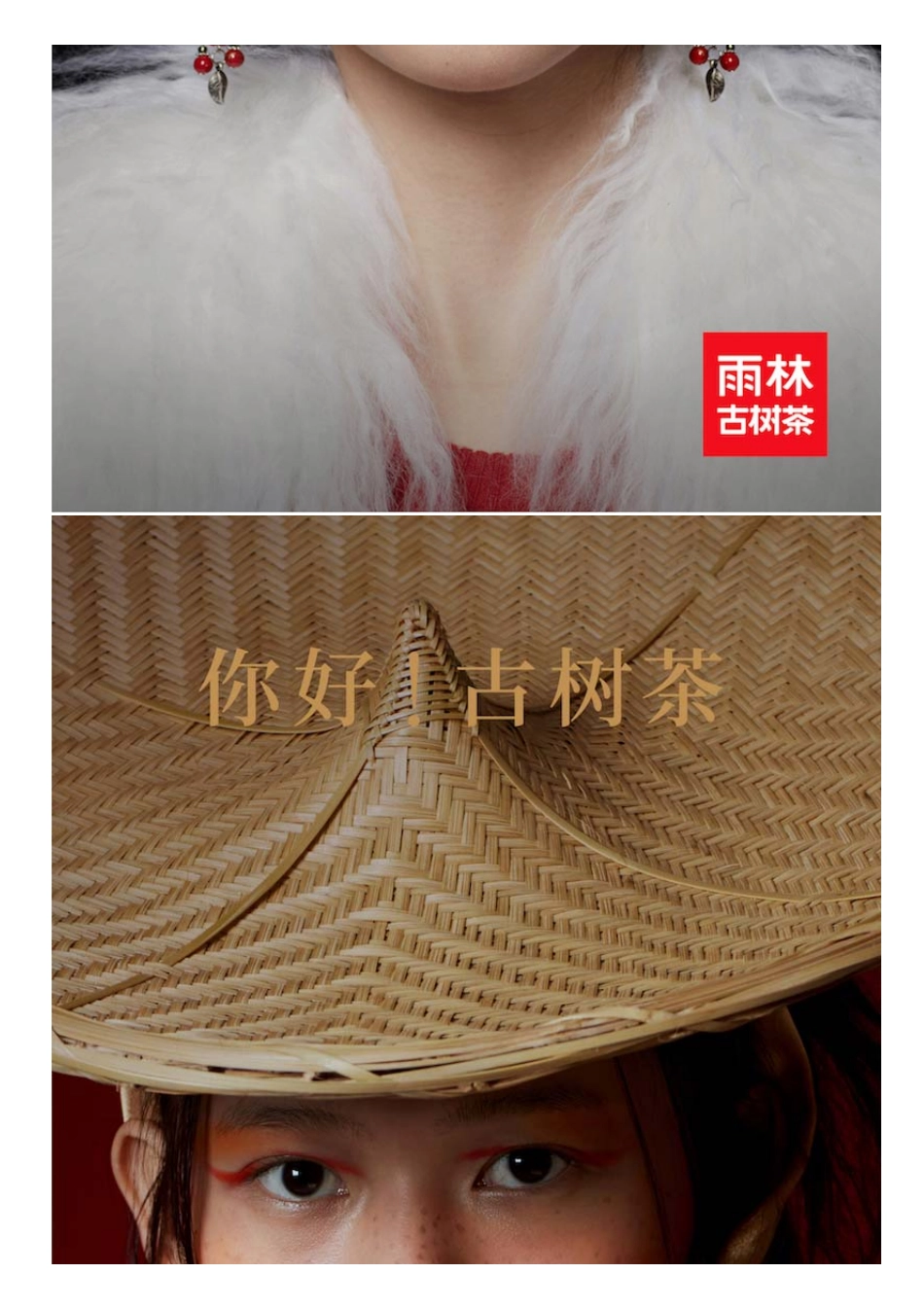 雨林古树茶_第8页