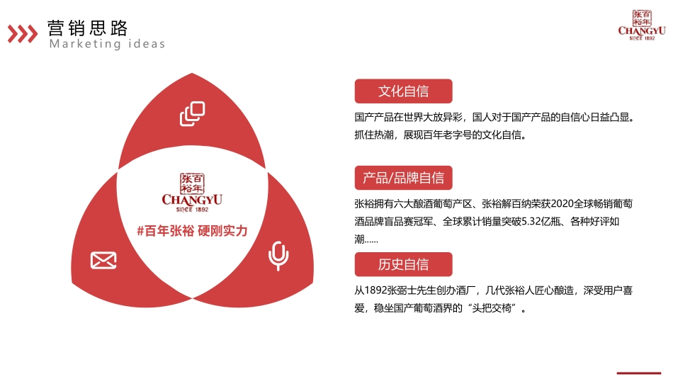 张裕葡萄酒130周年庆营销方案_第9页