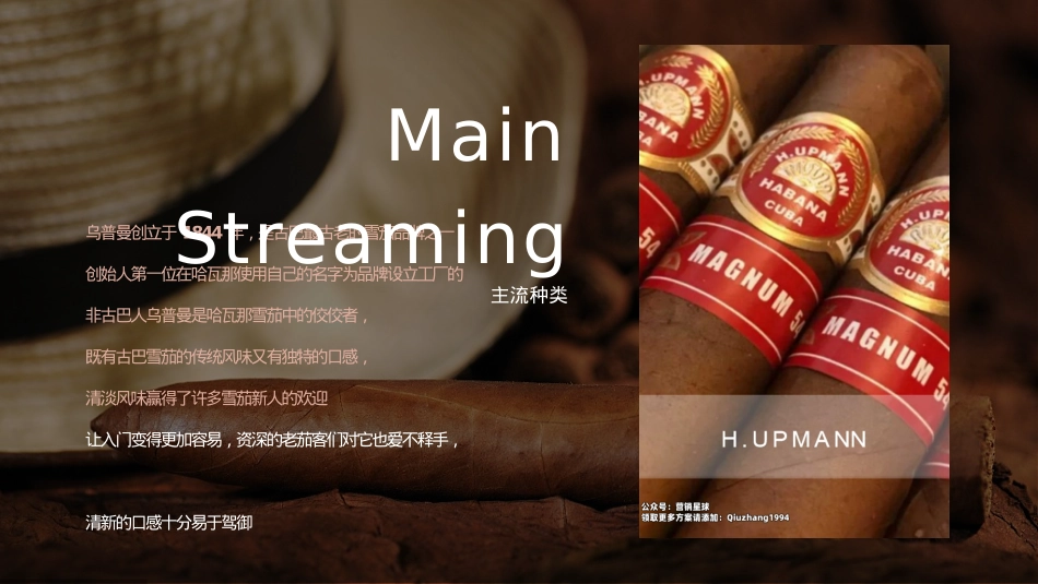 夫 · 雪茄 & 威士忌酒吧经营方案_第10页