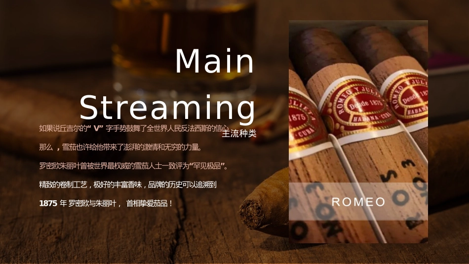 夫 · 雪茄 & 威士忌酒吧经营方案_第9页