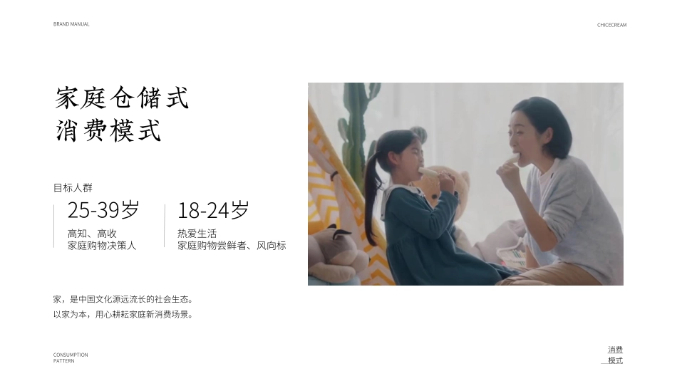 钟薛高雪糕品牌手册_第5页