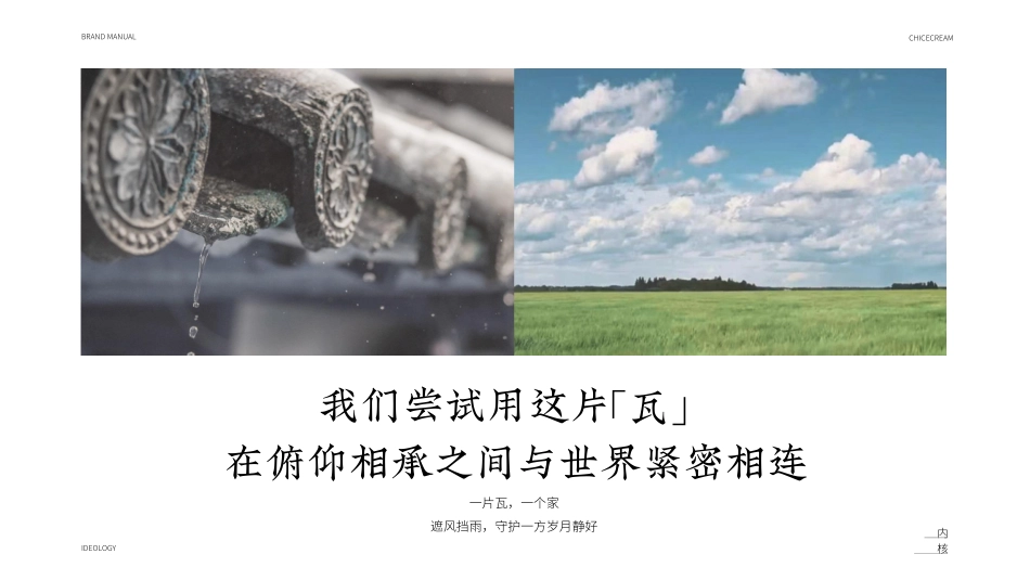 钟薛高雪糕品牌手册_第6页