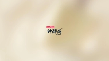 钟薛高雪糕品牌手册