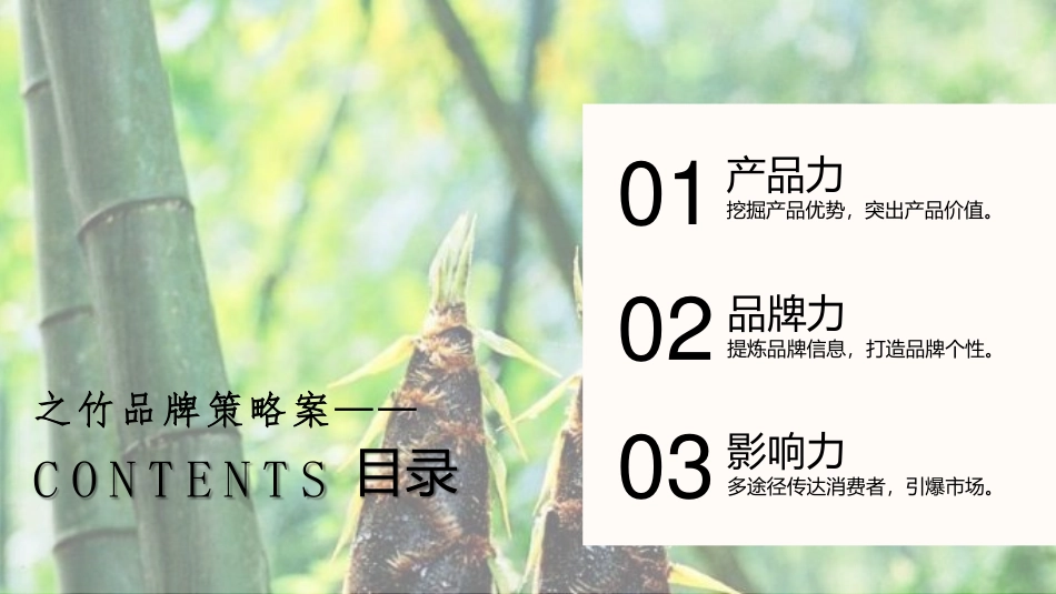 竹笋饼干·之竹品牌策略全案_第4页