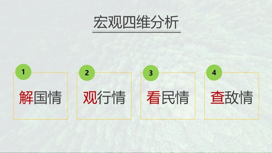竹笋饼干·之竹品牌策略全案_第8页