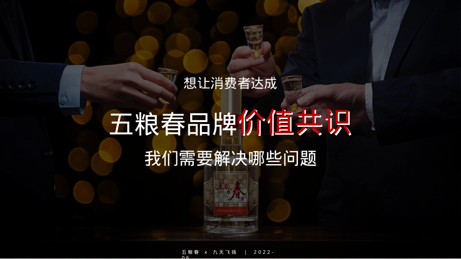 白酒品牌半年度营销策划案_第7页
