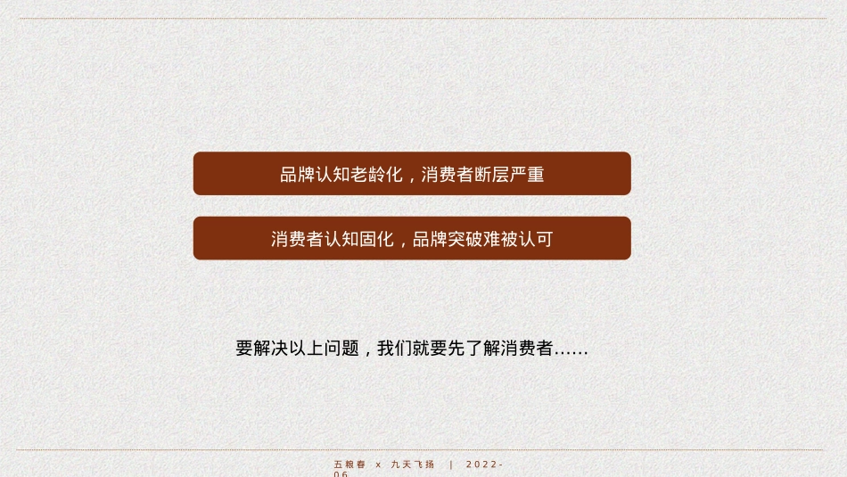 白酒品牌半年度营销策划案_第8页