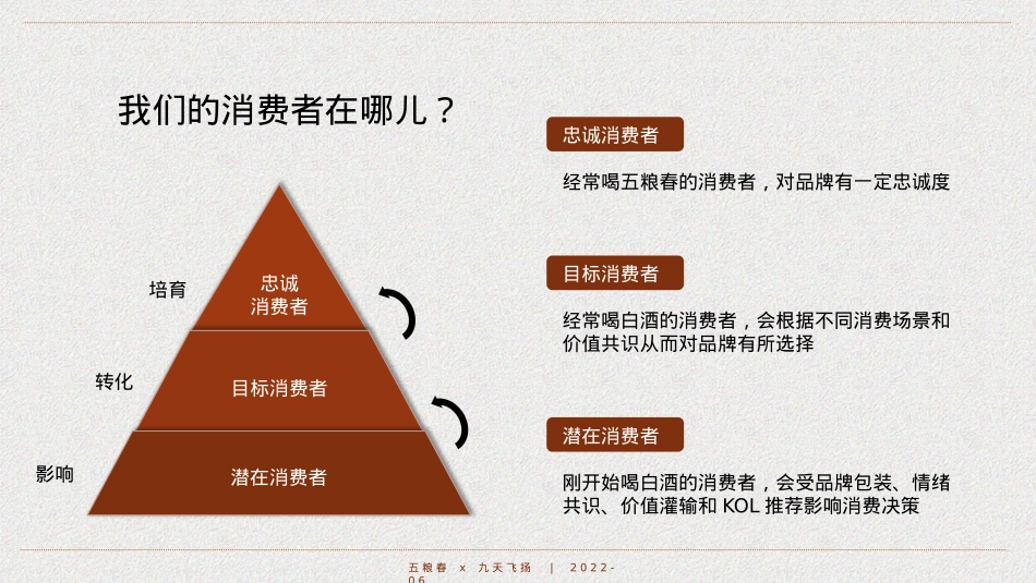 白酒品牌半年度营销策划案_第9页