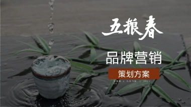 白酒品牌半年度营销策划案