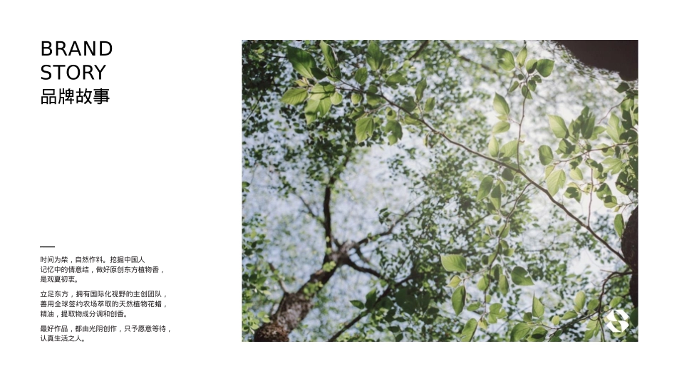 观夏品牌介绍_第2页