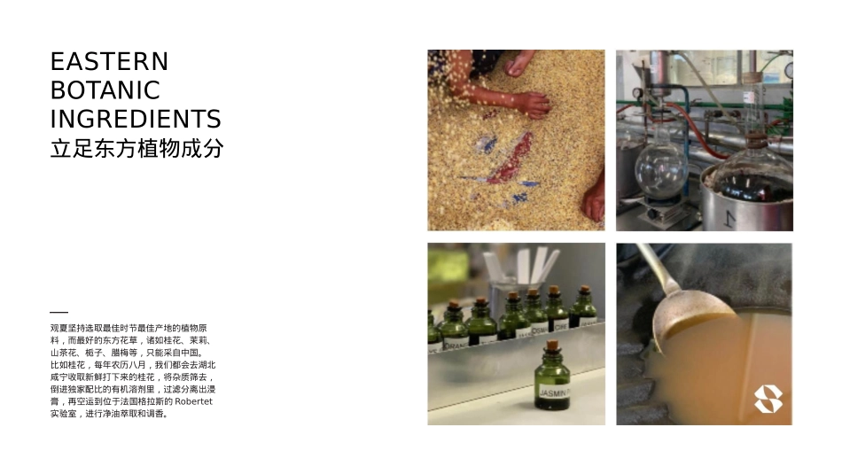 观夏品牌介绍_第4页