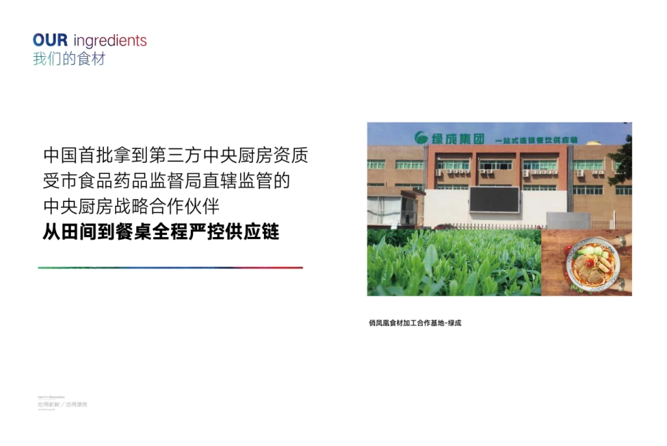 俏凤凰牛肉粉招商加盟品牌手册（16P）_第8页