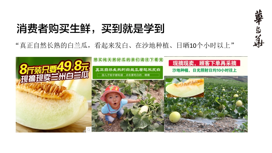 西贝白兰瓜产品上市推广策略_第10页