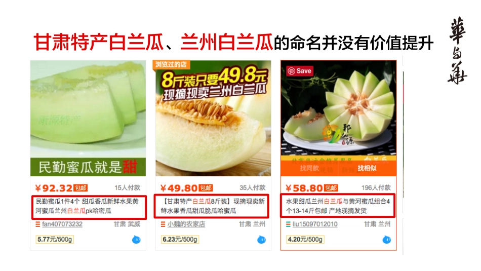 西贝白兰瓜产品上市推广策略_第4页