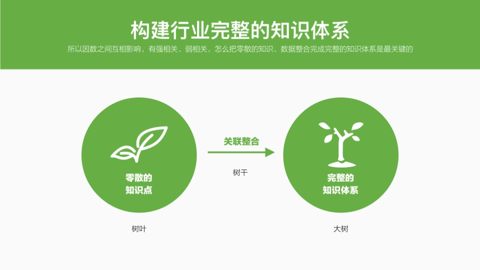 2024品牌调研策略通案_第5页