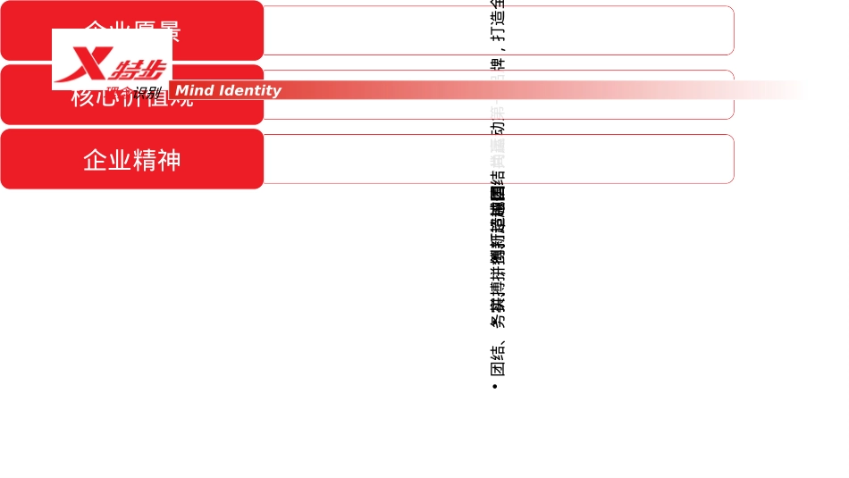 特步运动品牌调研_第5页