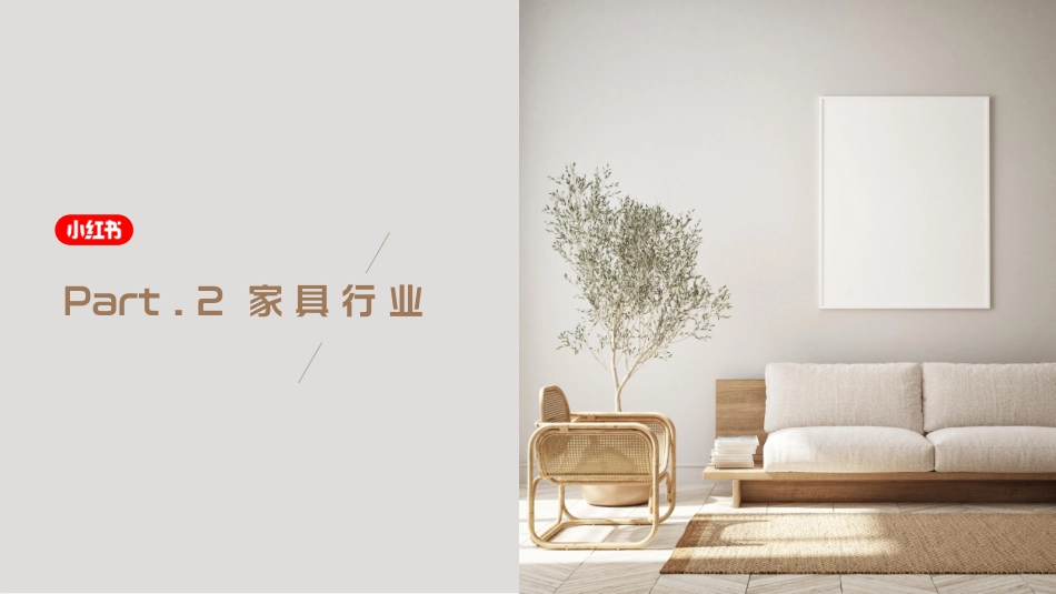 【小红书】家居家装行业6月月报—成长品牌_第4页