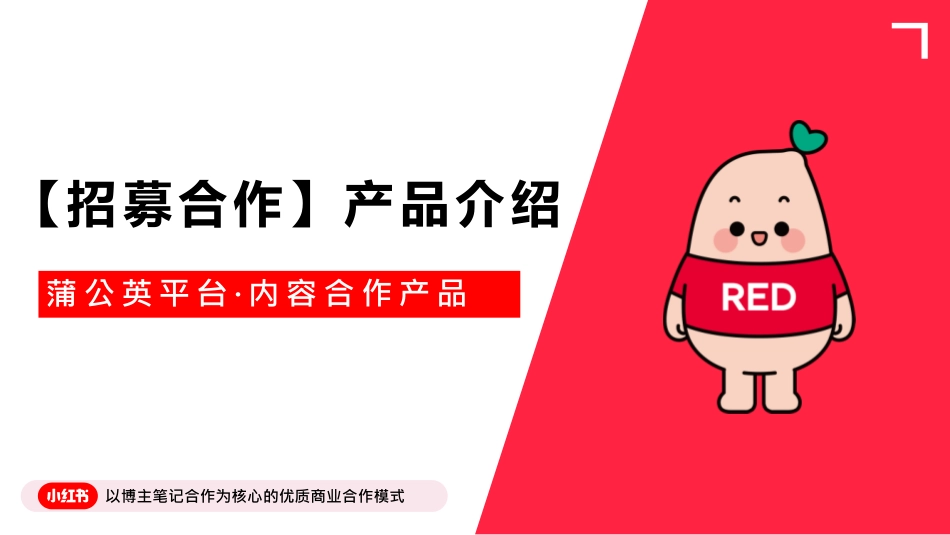 【招募合作】产品介绍文档_第1页