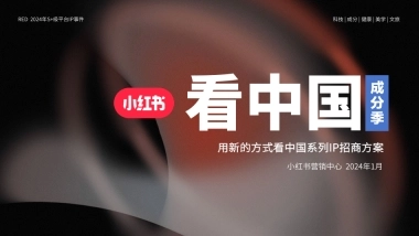 【中国成分】小红书看中国-成分季 招商方案 