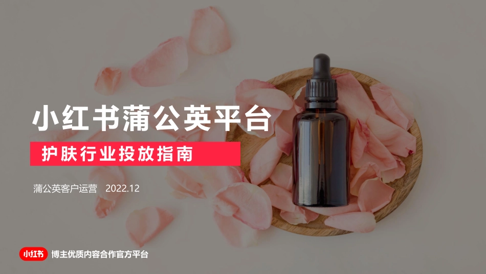 2022蒲公英护肤行业投放指南_第1页