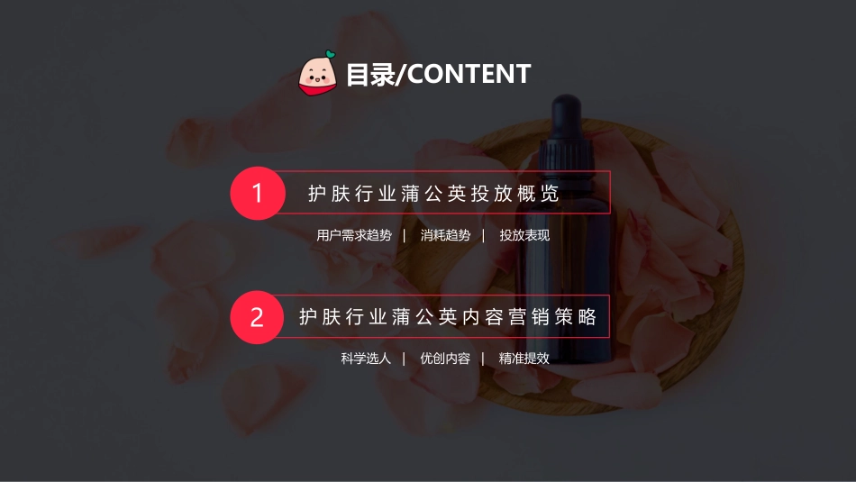 2022蒲公英护肤行业投放指南_第2页