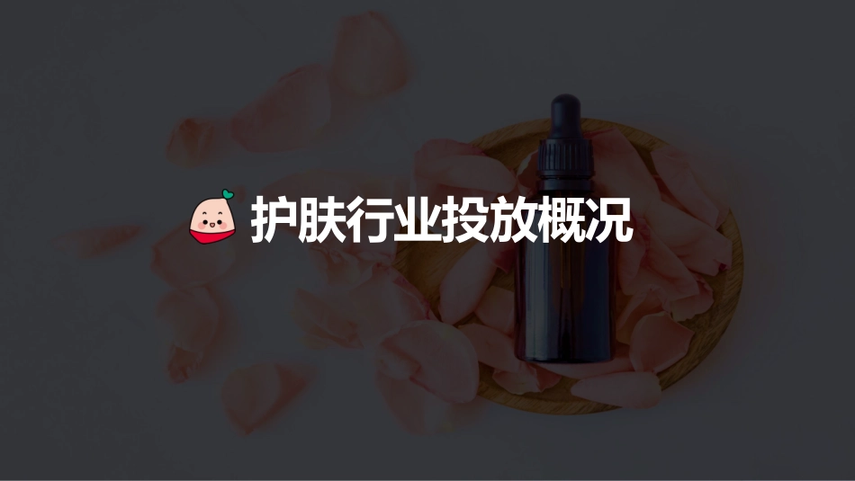 2022蒲公英护肤行业投放指南_第3页