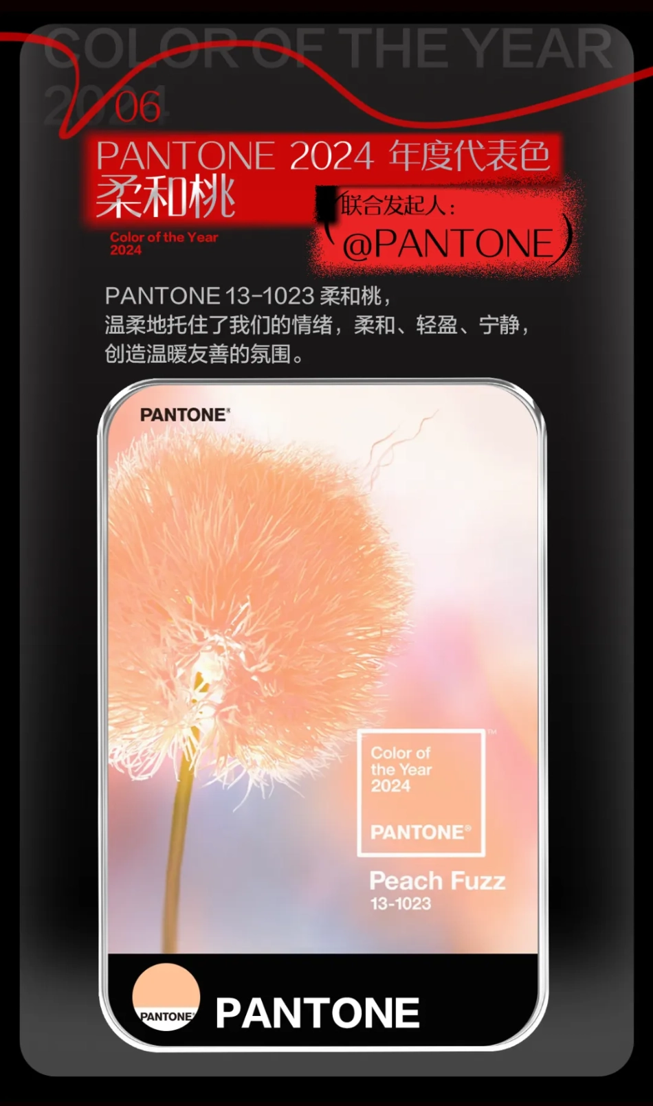 2023年度变美灵感盘点_第8页