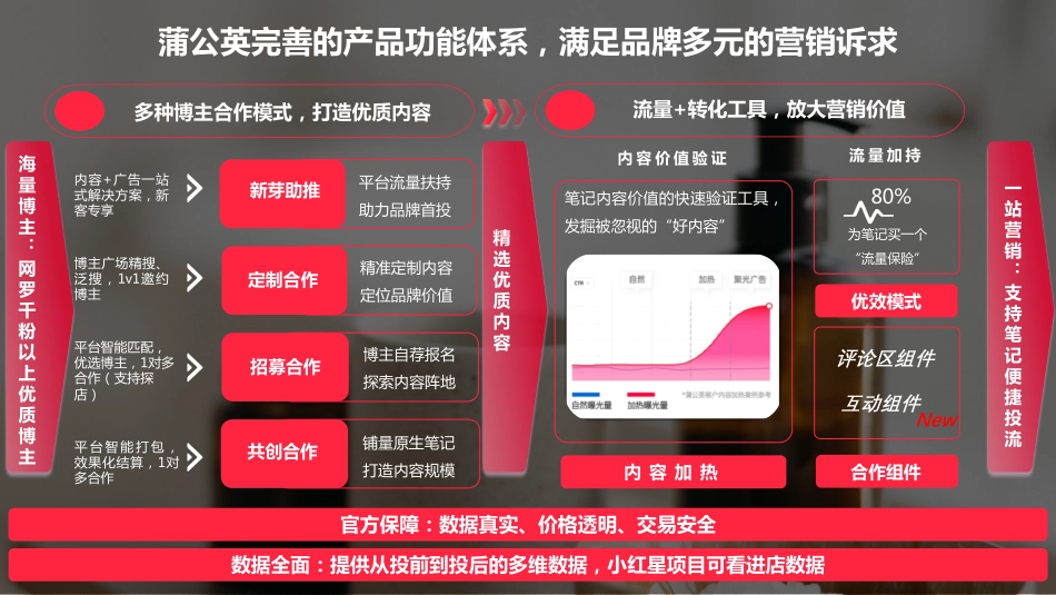 2023年蒲公英个护行业投放指南_第2页