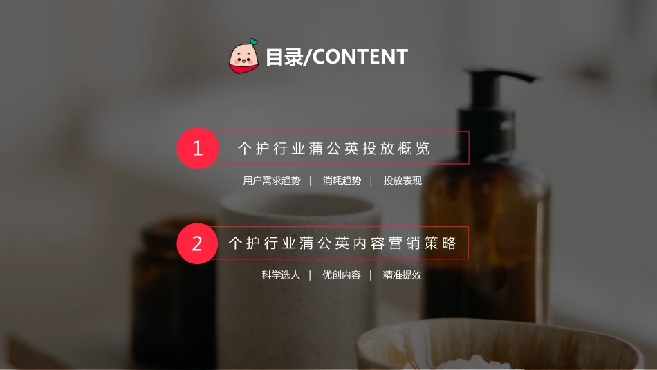 2023年蒲公英个护行业投放指南_第6页