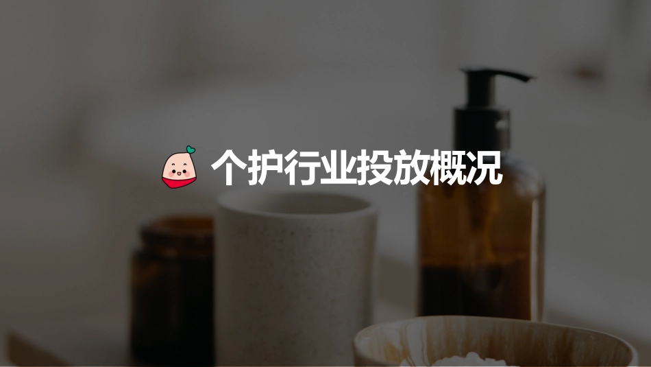 2023年蒲公英个护行业投放指南_第7页