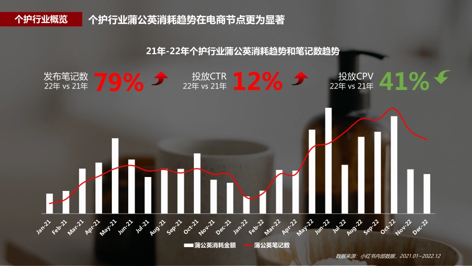 2023年蒲公英个护行业投放指南_第9页