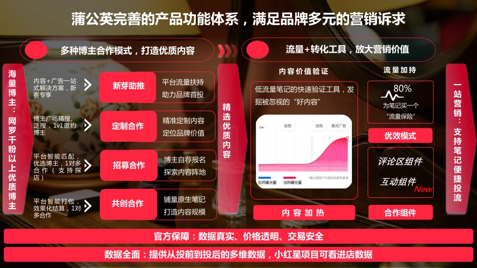 2023年蒲公英香水行业投放指南_第2页