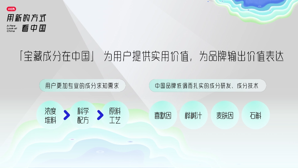2023年小红书S+级营销IP“看中国”系列介绍-小红书_第10页