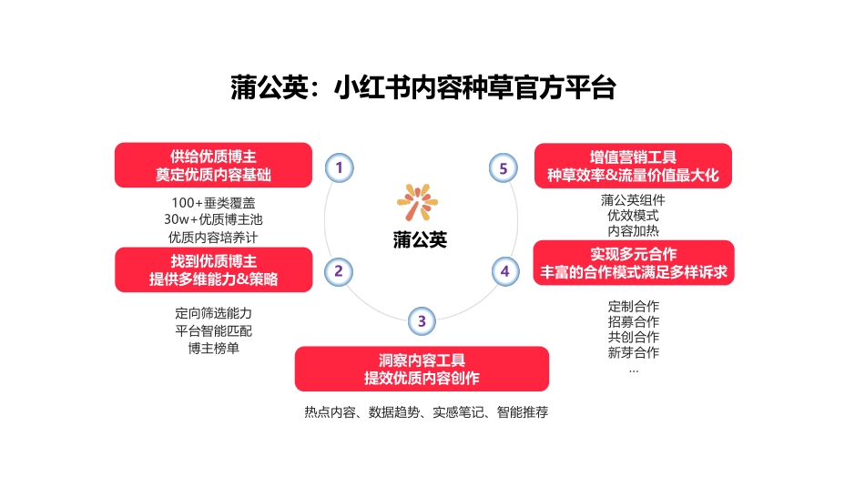 2023蒲公英服饰内衣投放指南_第1页
