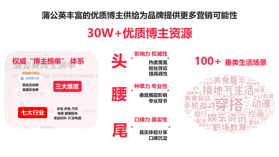 2023蒲公英服饰内衣投放指南_第5页