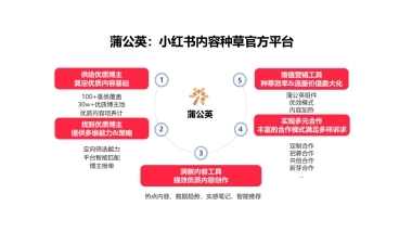 2023蒲公英服饰内衣投放指南