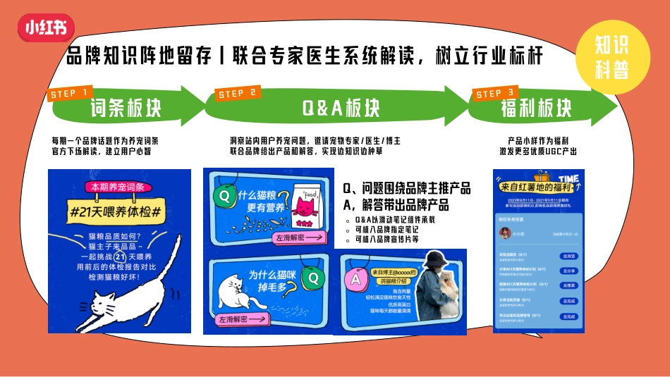 2024年小红书养宠百科全书通案_第10页