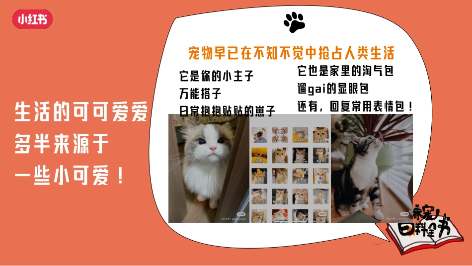 2024年小红书养宠百科全书通案_第2页