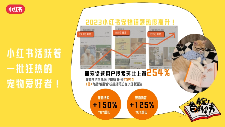 2024年小红书养宠百科全书通案_第3页