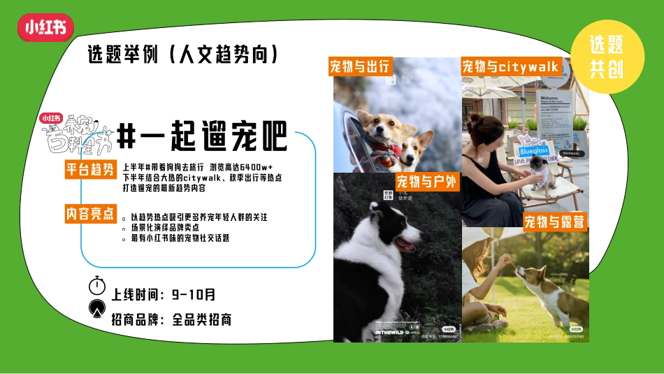 2024年小红书养宠百科全书通案_第9页