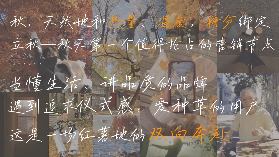 2024小红书【万物有时节】秋日街头碰杯计划_第7页