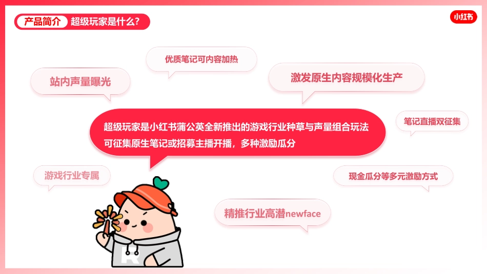 2025小红书“超级玩家”产品介绍：游戏行业内容种草与声量曝光的解决方案_第5页