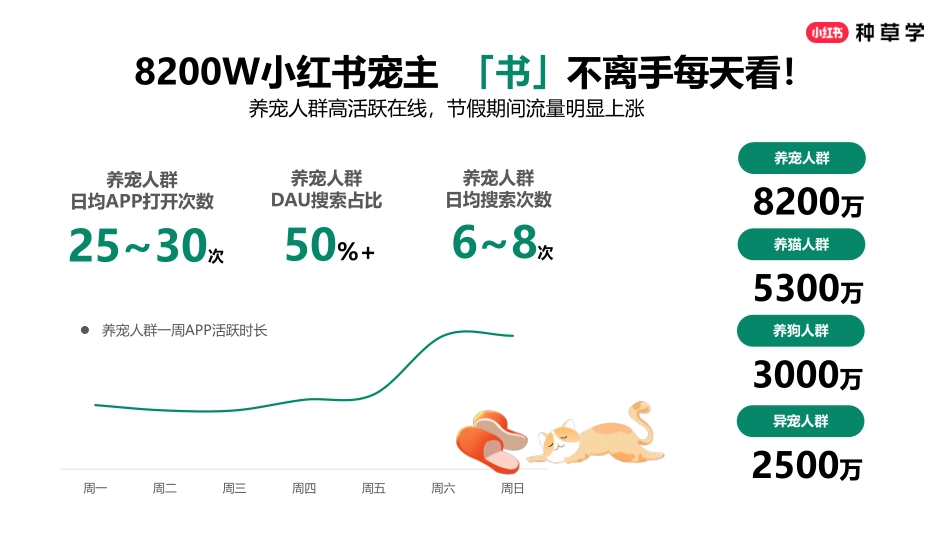 2025小红书618宠物行业营销洞察&策略建议_第2页